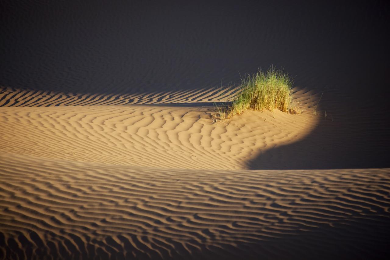Bivouac La Dune Blanche Мхамид Экстерьер фото